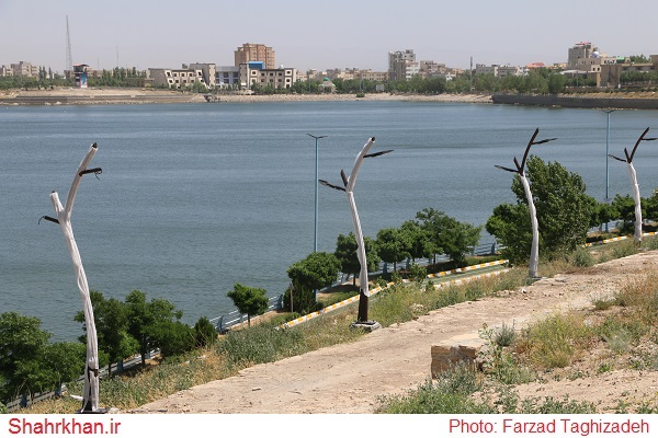 گزارش تصویری/ بازدید میدانی اعضای شورای شهر و شهردار اردبیل از پروژه های عمرانی 12 12