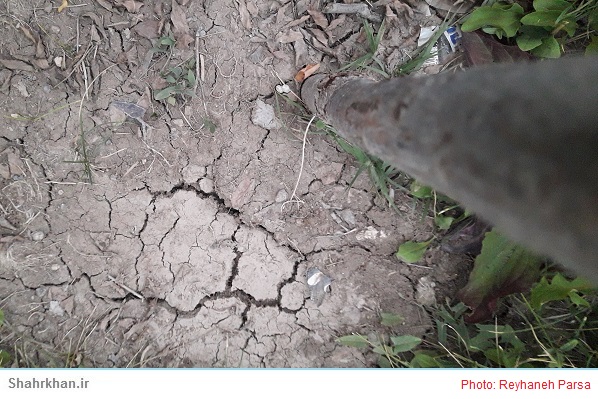 خشکسالی Drought