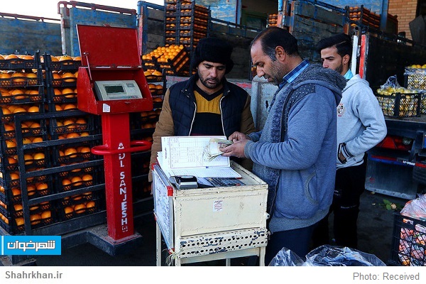 تره بار میوه