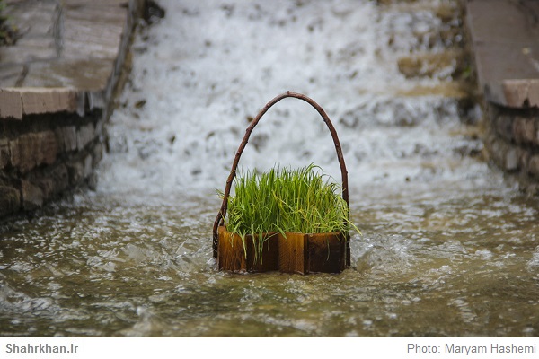 سبزه 13 بدر در رودخانه 1 سبزه 13 بدر در رودخانه Green 13 Badr in the river