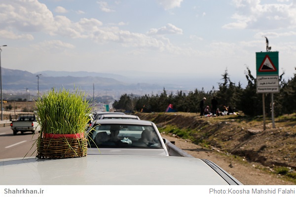 سبزه 13 بدر روی ماشین 1 سبزه 13 بدر روی ماشین Sabze 13 Badr on the car
