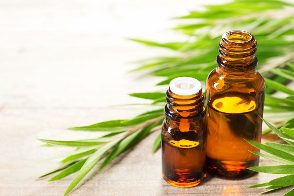 روغن چای 1 روغن چای
