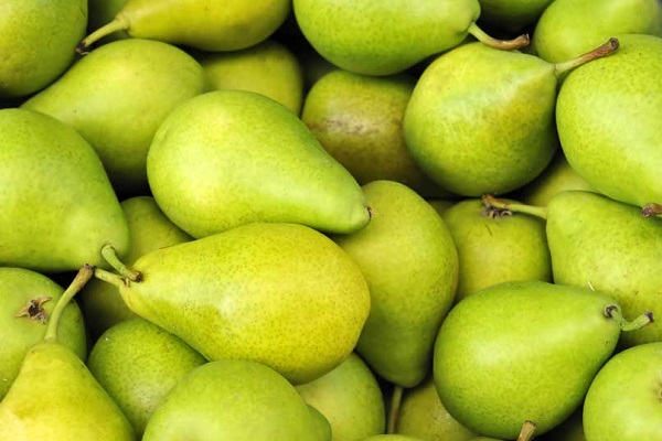 چند خوراکی مفید برای صاف کردن شکم 4 گلابی