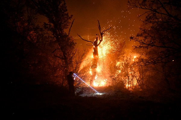 آتش سوزی جنگل 1 آتش سوزی جنگل Forest fires