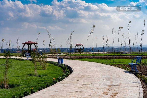 درختکاری در پارک 1 درختکاری در پارک